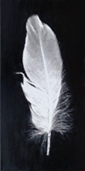 Feather III  50x100cm  (100x50cm)